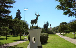 Venado Tuerto