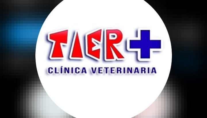 Tier