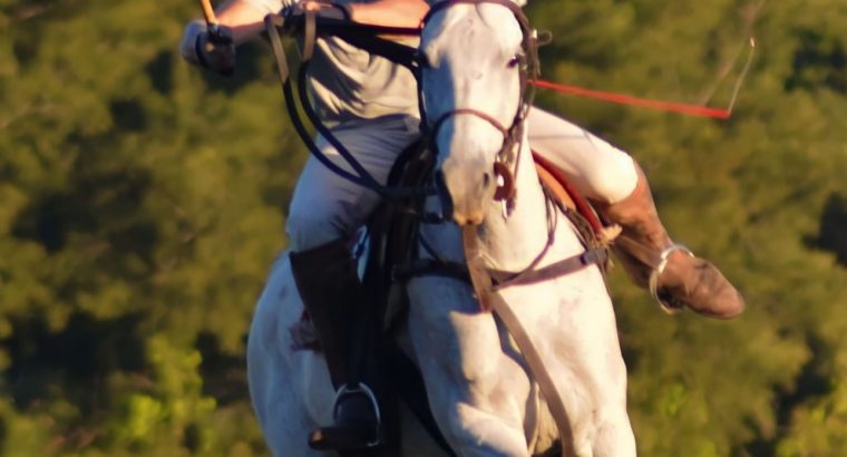 Aurora Polo & Rugby Club