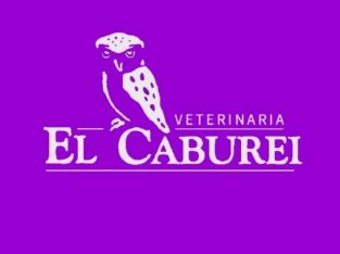 Veterinaria